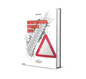 INFORTUNISTICA STRADALE 2019 