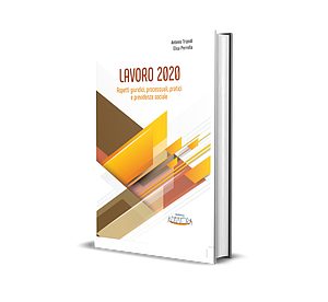 LAVORO 2020