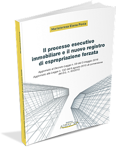 IL PROCESSO ESECUTIVO IMMOBILIARE E IL NUOVO REGISTRO DI ESPROPRIAZIONE FORZATA