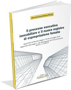 IL PROCESSO ESECUTIVO IMMOBILIARE E IL NUOVO REGISTRO DI ESPROPRIAZIONE FORZATA