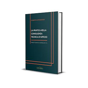  LA PRATICA NELLA CONSULENZA TECNICA D'UFFICIO