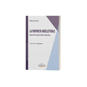 La proprietà intellettuale