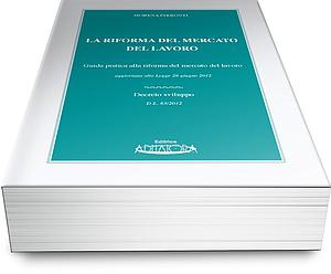 La Riforma del Mercato del Lavoro